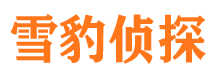 四平市场调查